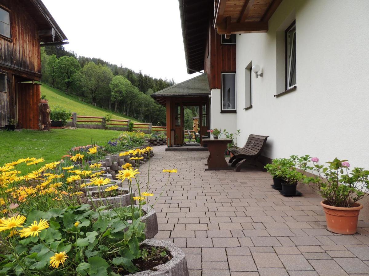 Haus Bergfried Daire Filzmoos Dış mekan fotoğraf